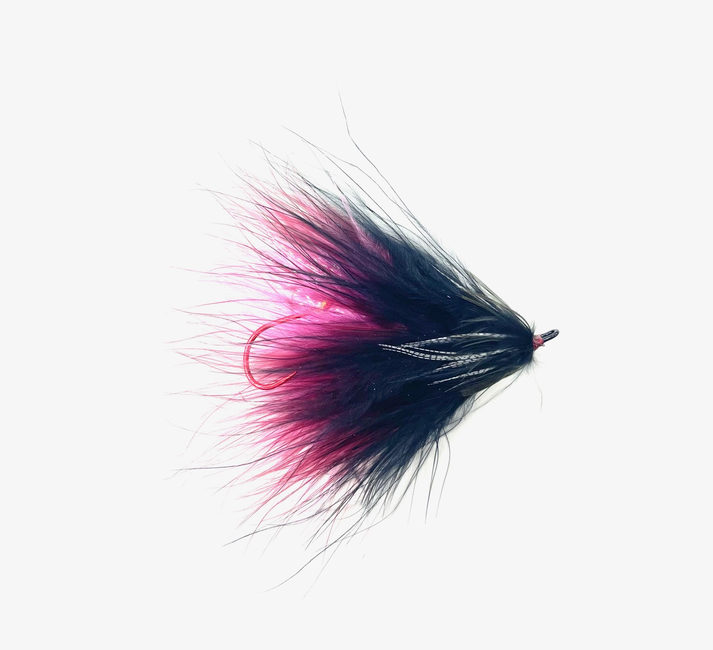 River Rat Squid